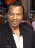 photo Billy Dee Williams (voice)