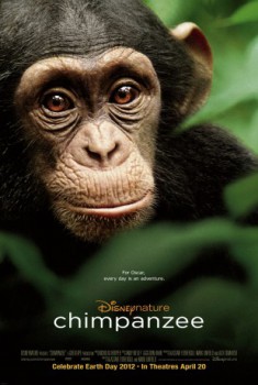 poster Chimpanzee  (2012)