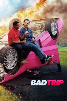 poster Bad Trip  (2021)